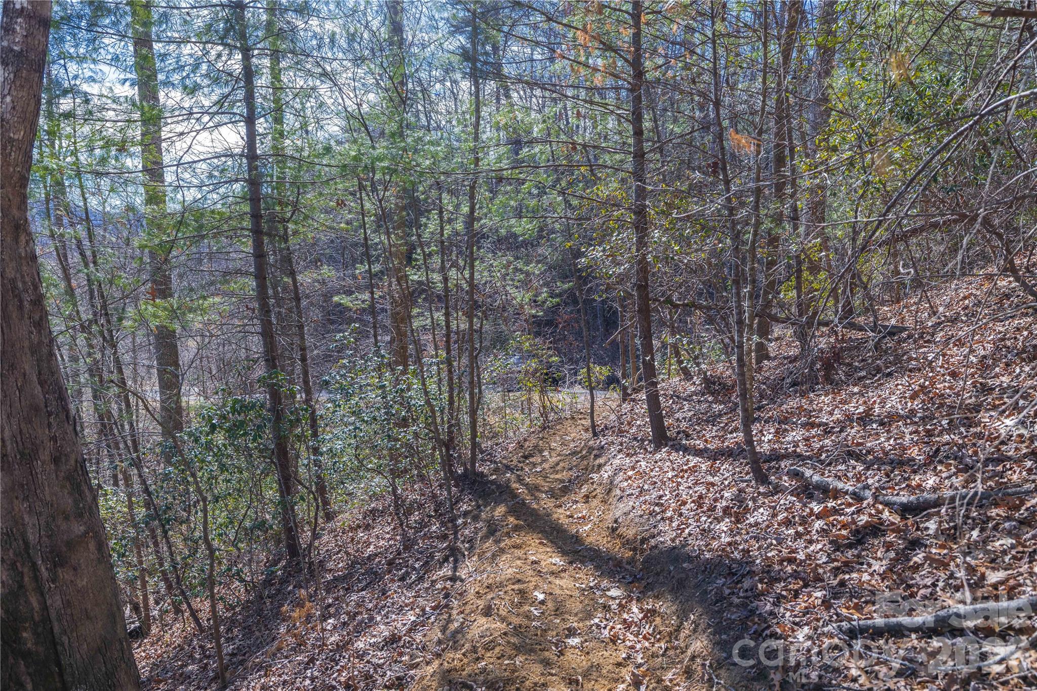33 High Point Trail Brevard NC 28712