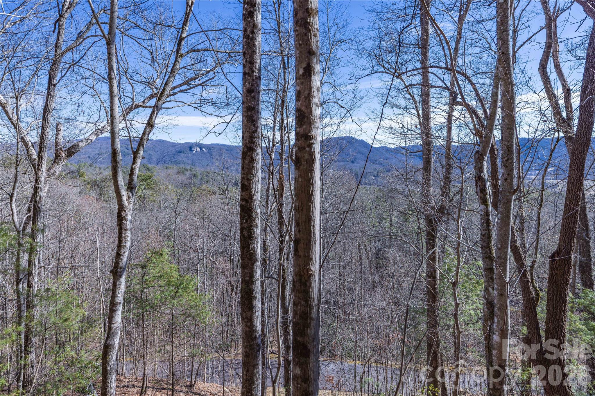 33 High Point Trail Brevard NC 28712