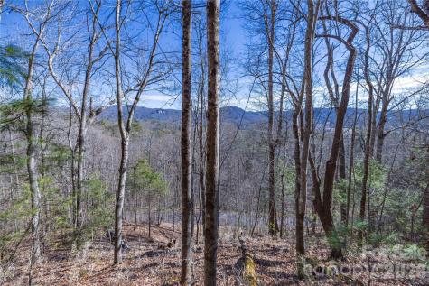 33 High Point Trail Brevard NC 28712