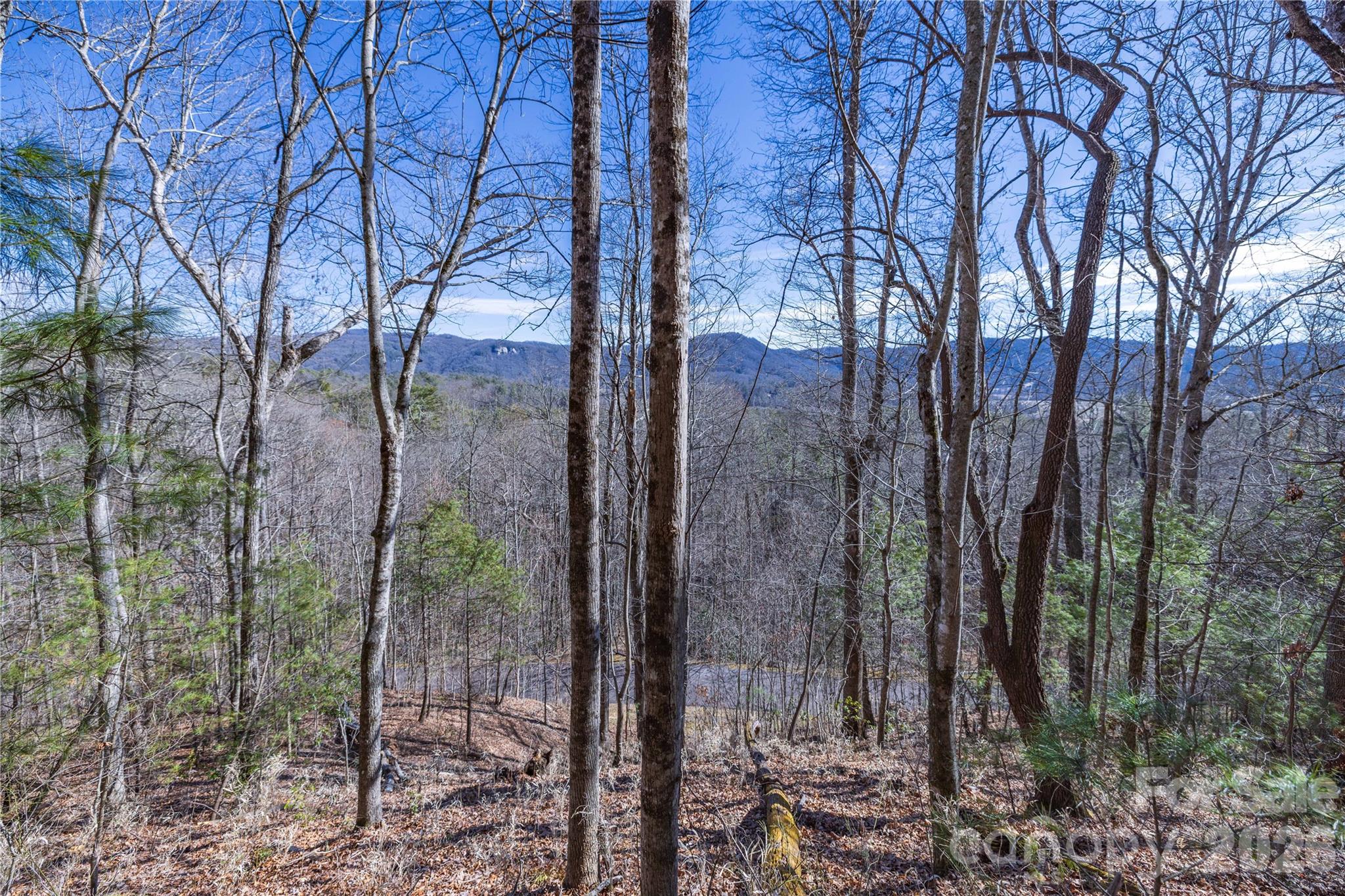 33 High Point Trail Brevard NC 28712