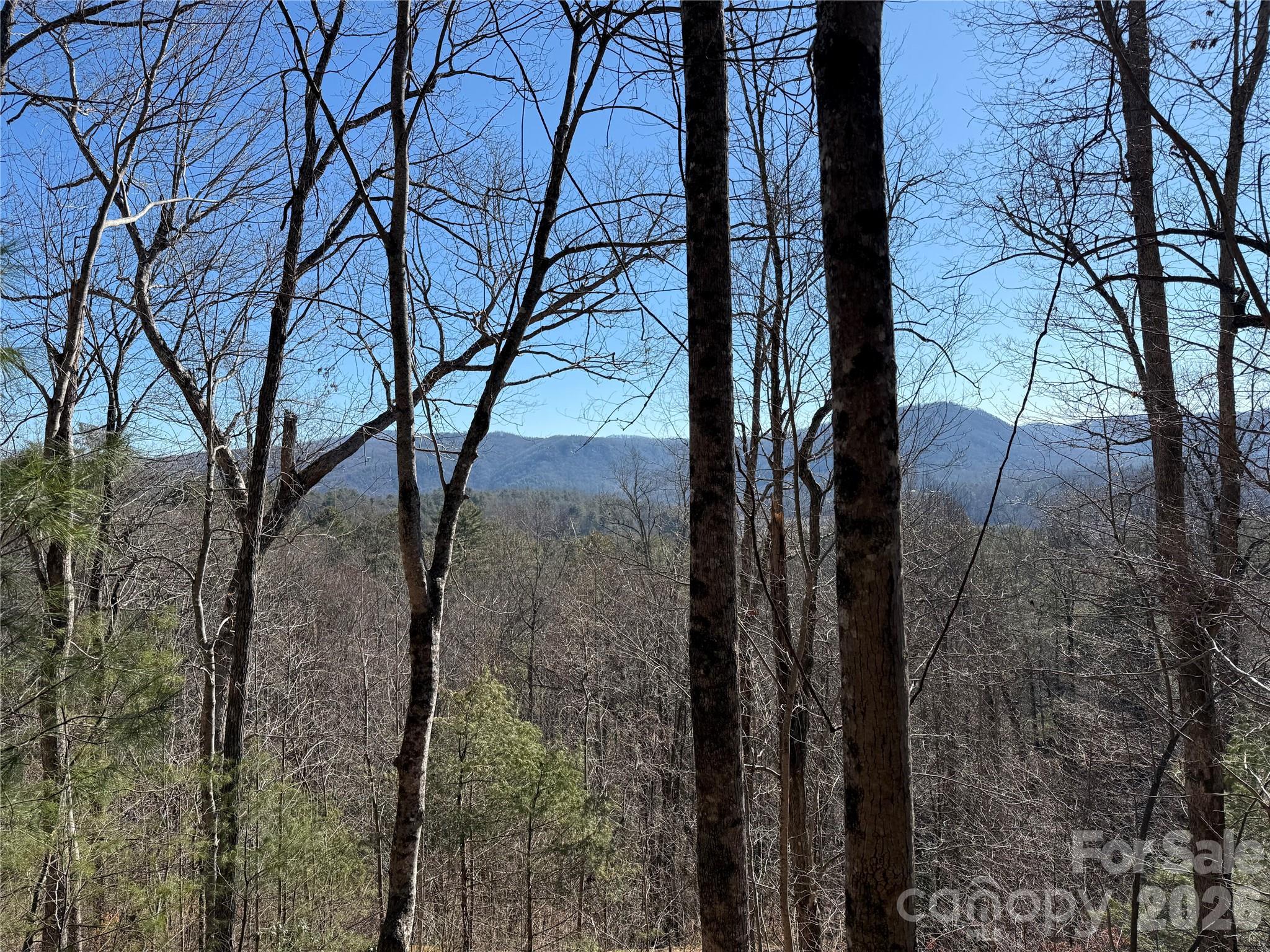 33 High Point Trail Brevard NC 28712