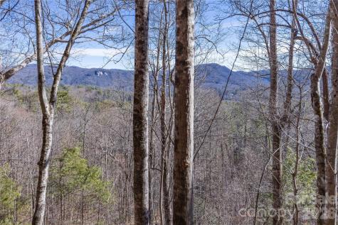 33 High Point Trail Brevard NC 28712