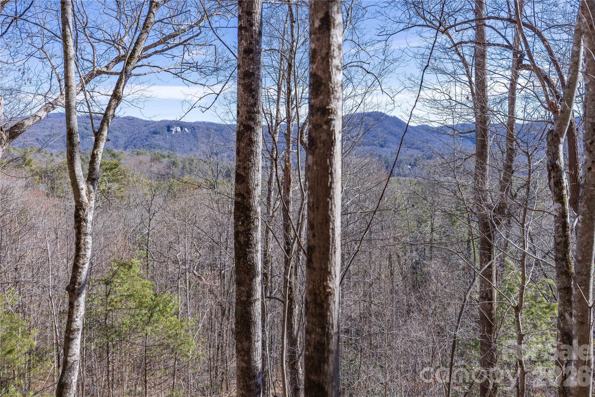 33 High Point Trail Brevard NC 28712