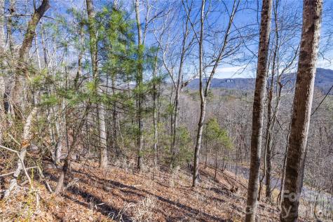 33 High Point Trail Brevard NC 28712
