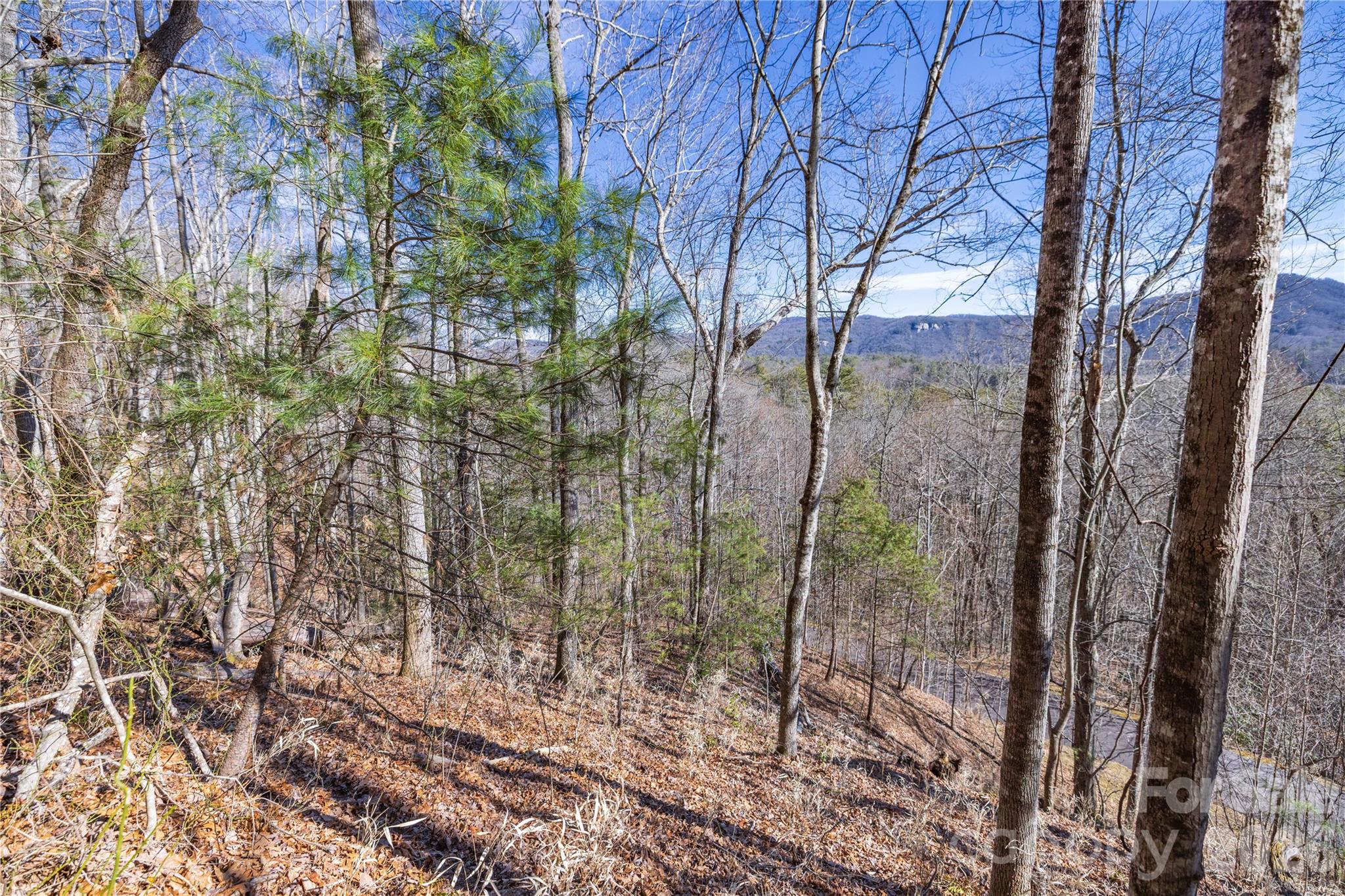 33 High Point Trail Brevard NC 28712