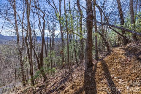 33 High Point Trail Brevard NC 28712