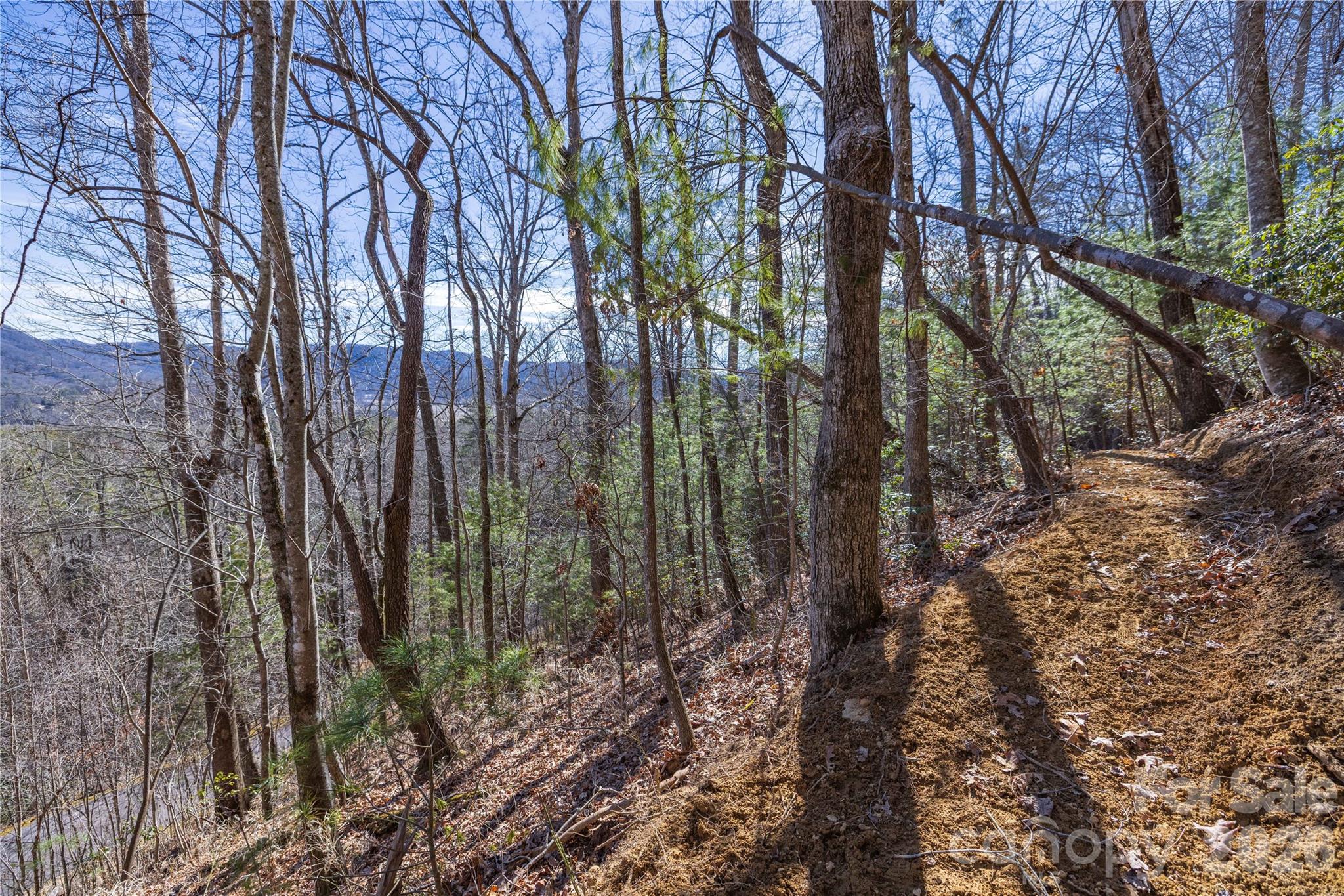 33 High Point Trail Brevard NC 28712