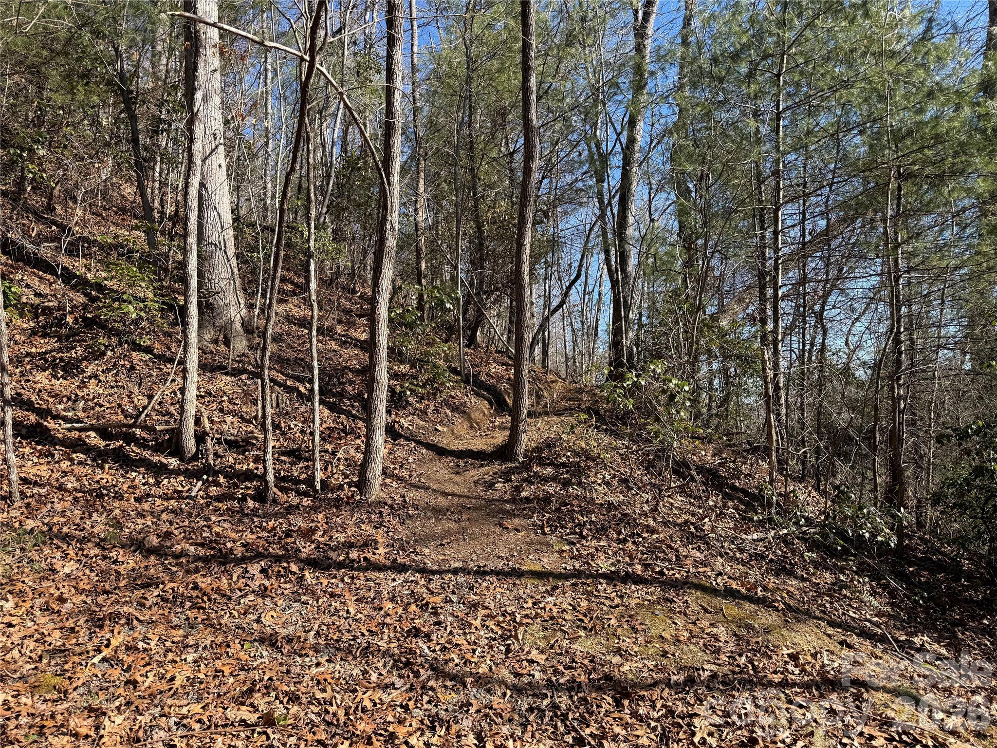 33 High Point Trail Brevard NC 28712