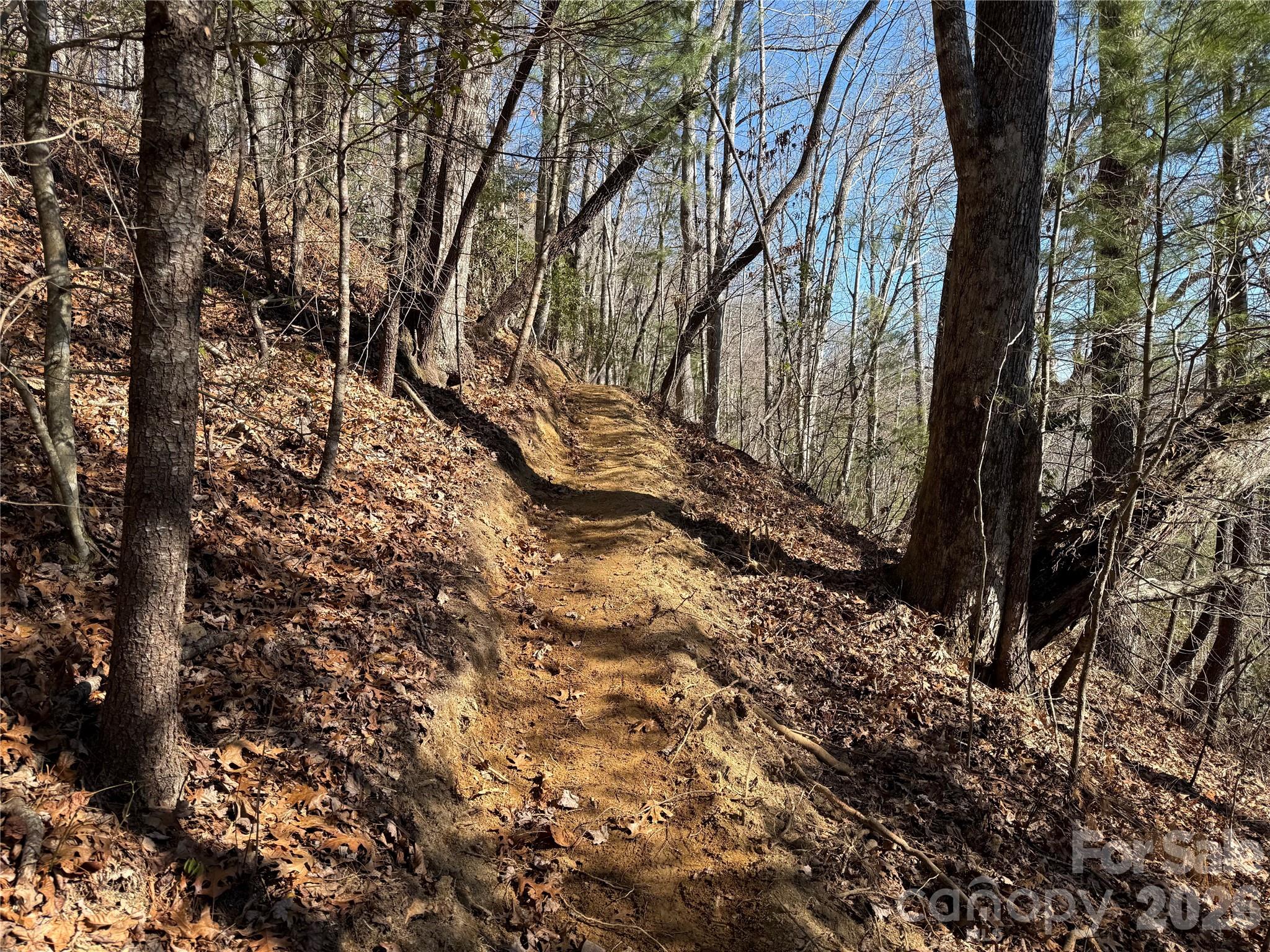 33 High Point Trail Brevard NC 28712