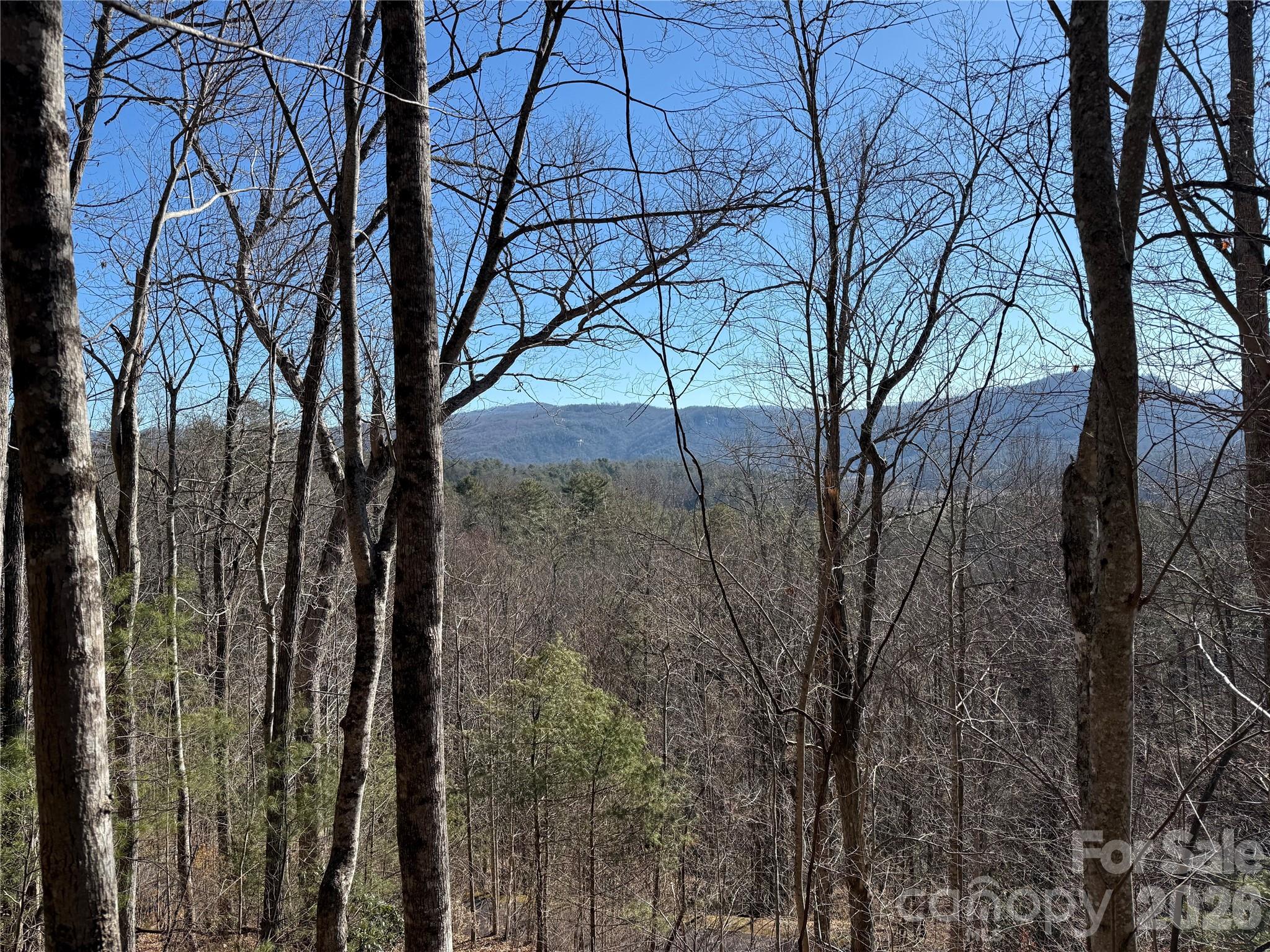 33 High Point Trail Brevard NC 28712