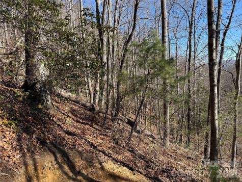 33 High Point Trail Brevard NC 28712