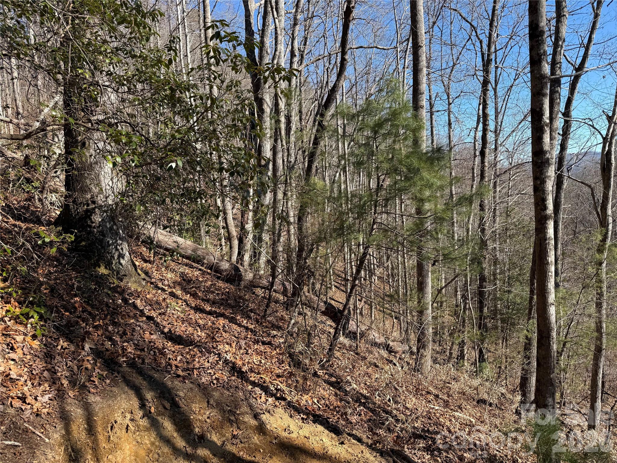 33 High Point Trail Brevard NC 28712