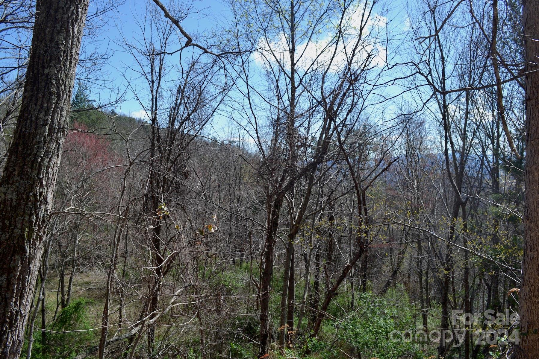 Asheville NC, Lot 8 Town Mountain Road