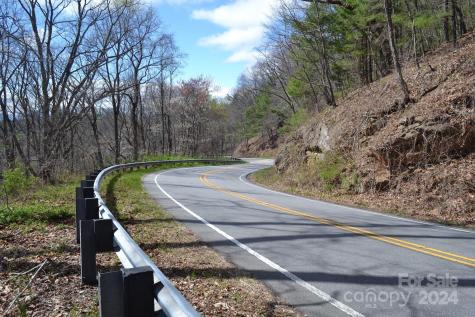 Lot 8 Town Mountain Road Asheville NC 28804