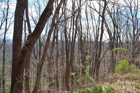 Lot 8 Town Mountain Road Asheville NC 28804