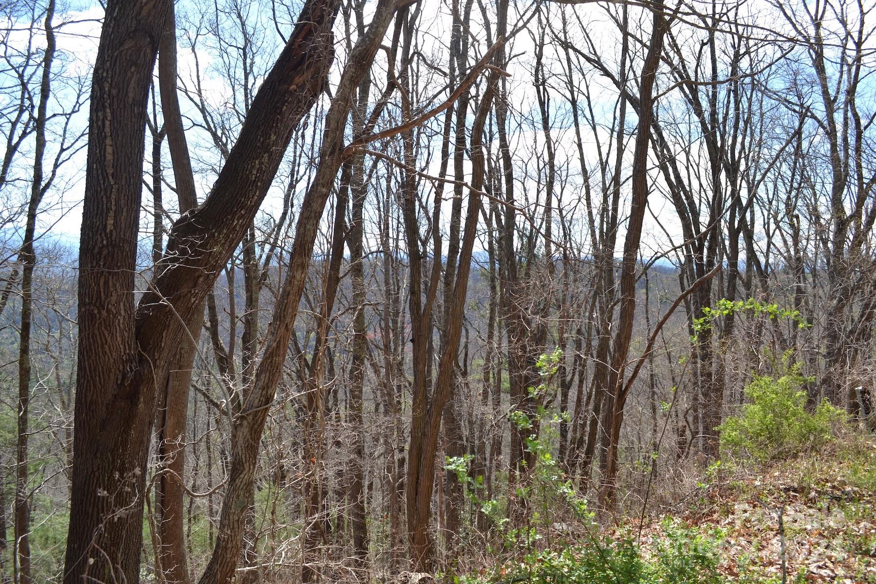 Lot 8 Town Mountain Road Asheville NC 28804