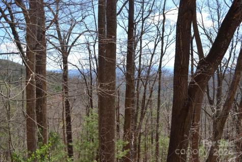Lot 8 Town Mountain Road Asheville NC 28804