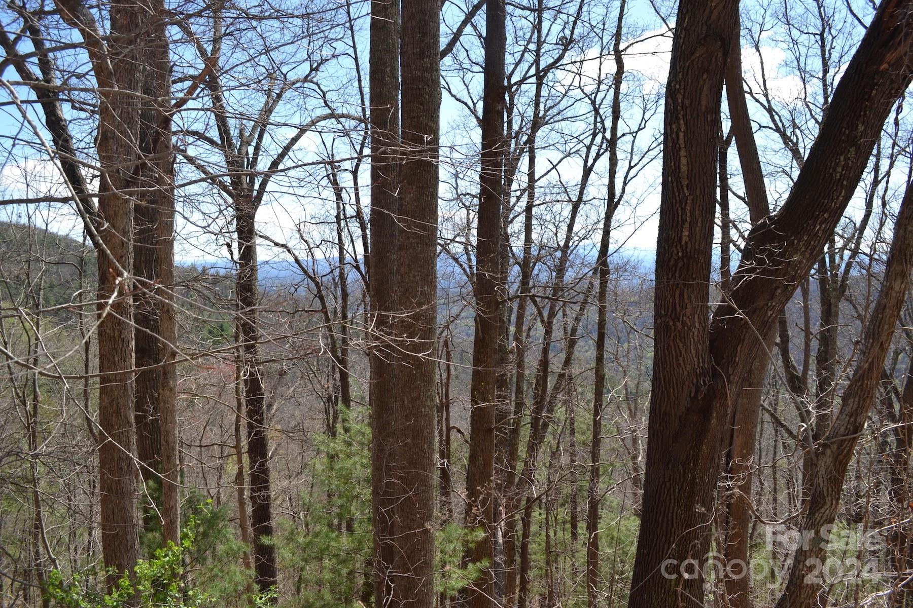 Lot 8 Town Mountain Road Asheville NC 28804