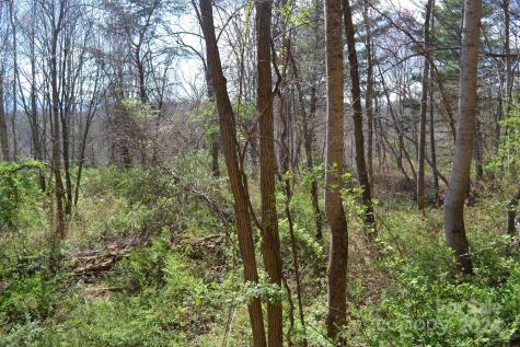 Lot 8 Town Mountain Road Asheville NC 28804