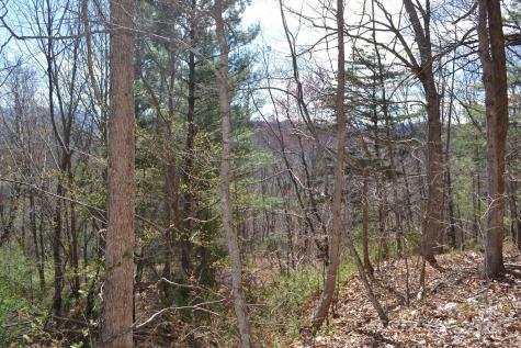 Lot 8 Town Mountain Road Asheville NC 28804