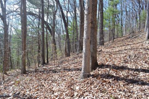Lot 8 Town Mountain Road Asheville NC 28804