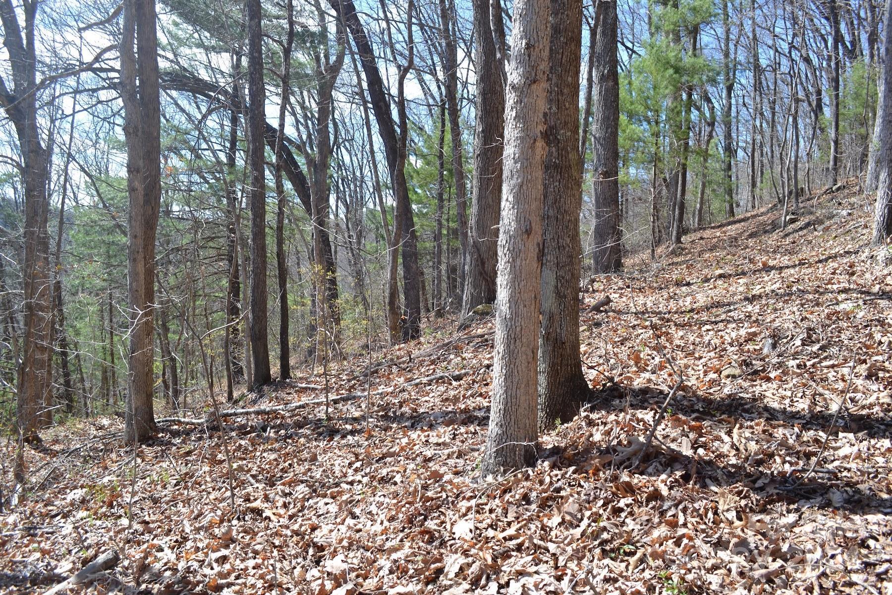 Lot 8 Town Mountain Road Asheville NC 28804