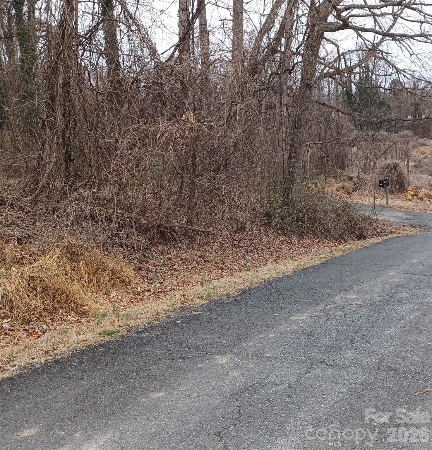 0 Frank Street Mount Airy NC 27030