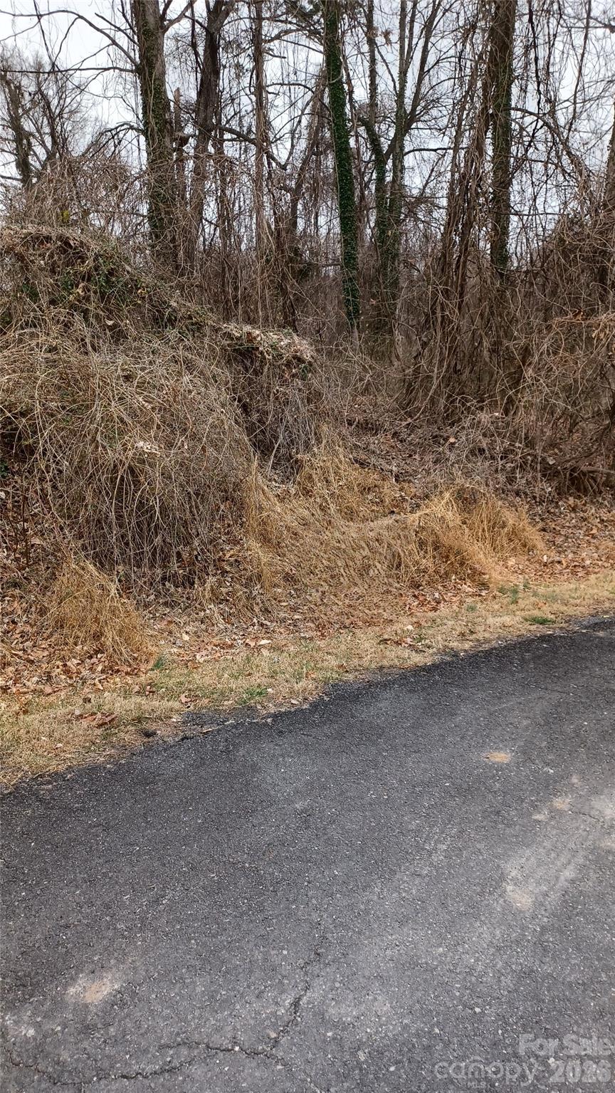 0 Frank Street Mount Airy NC 27030