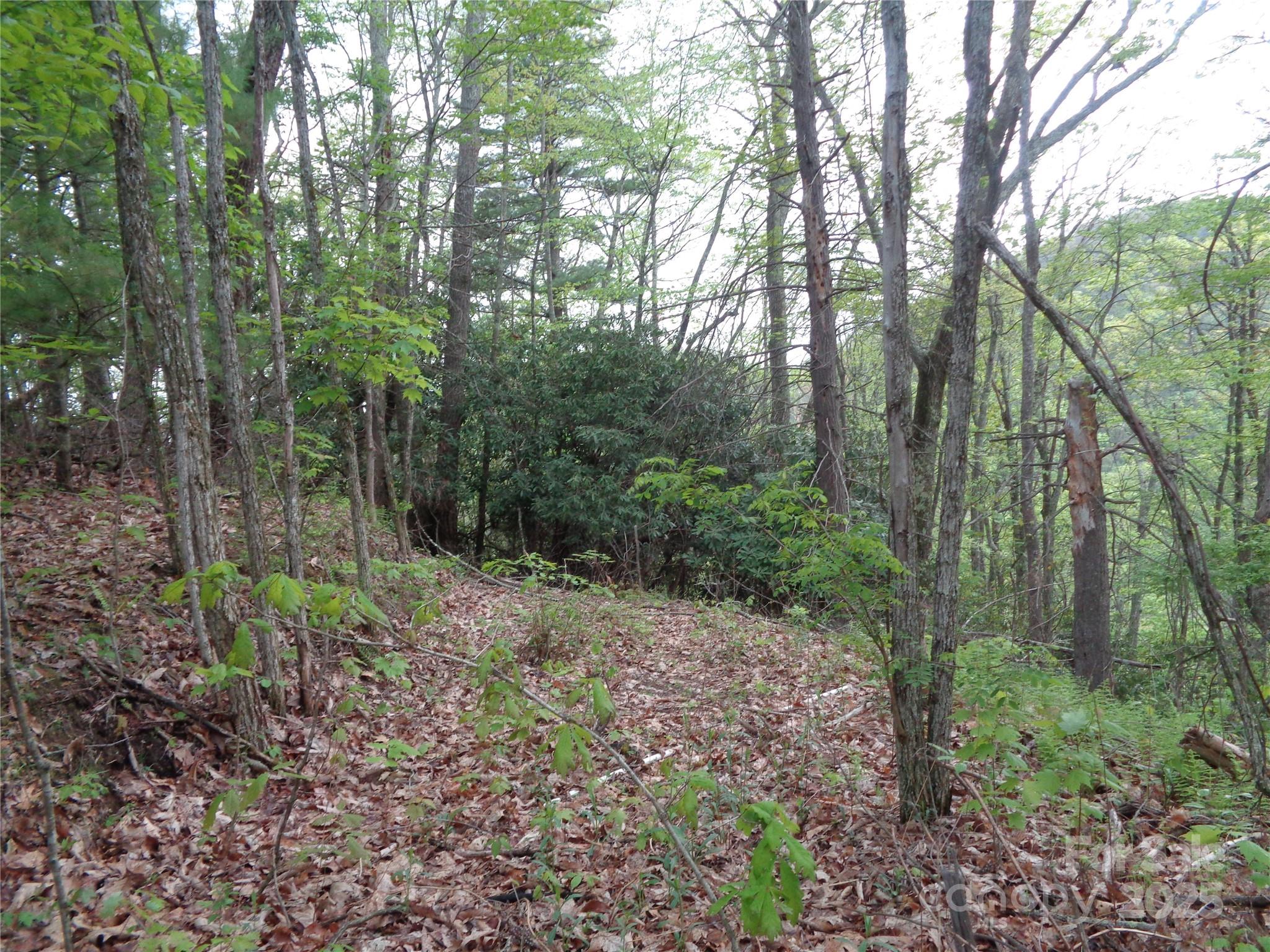 00 Promiseland Road Canton NC 28716