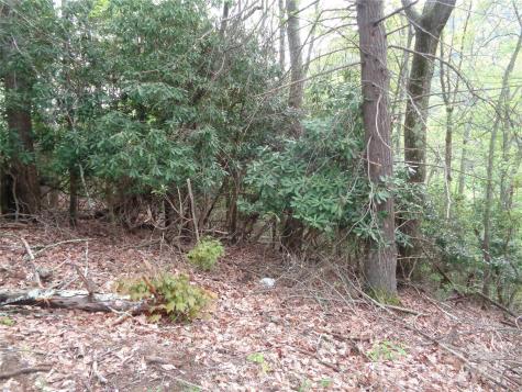 00 Promiseland Road Canton NC 28716