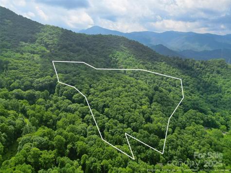 00 Promiseland Road Canton NC 28716