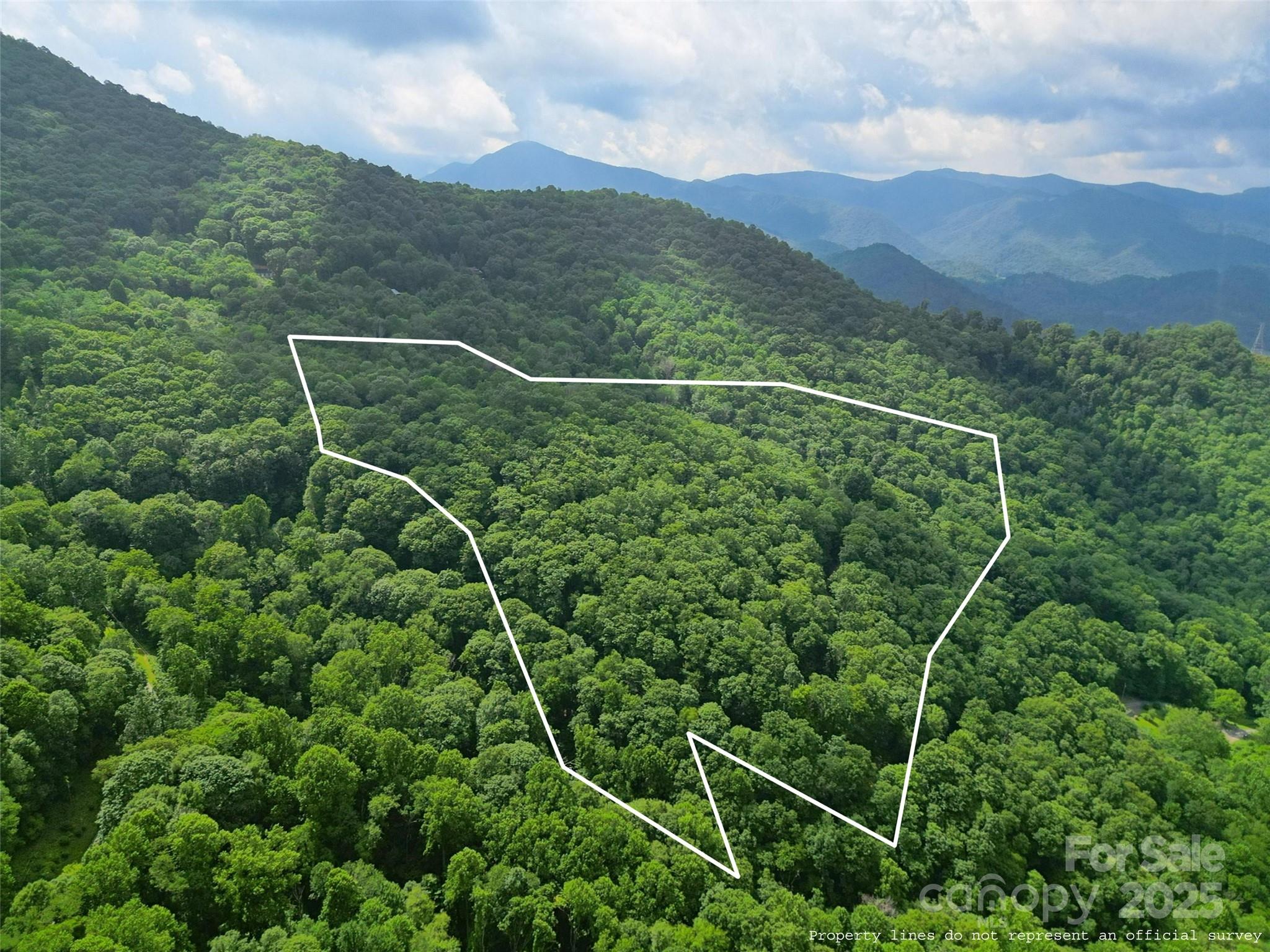 00 Promiseland Road Canton NC 28716