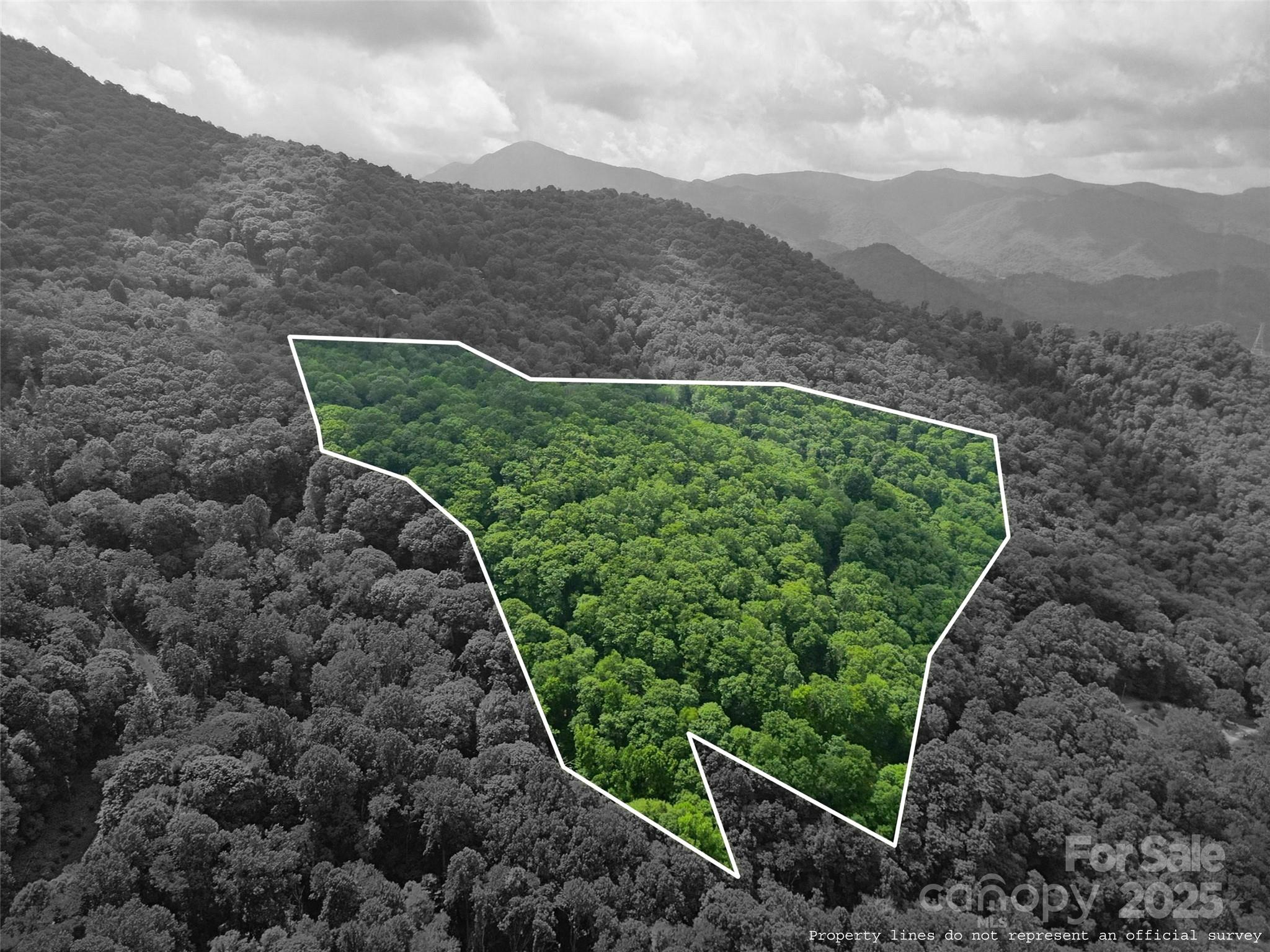 00 Promiseland Road Canton NC 28716