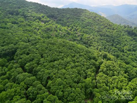 00 Promiseland Road Canton NC 28716