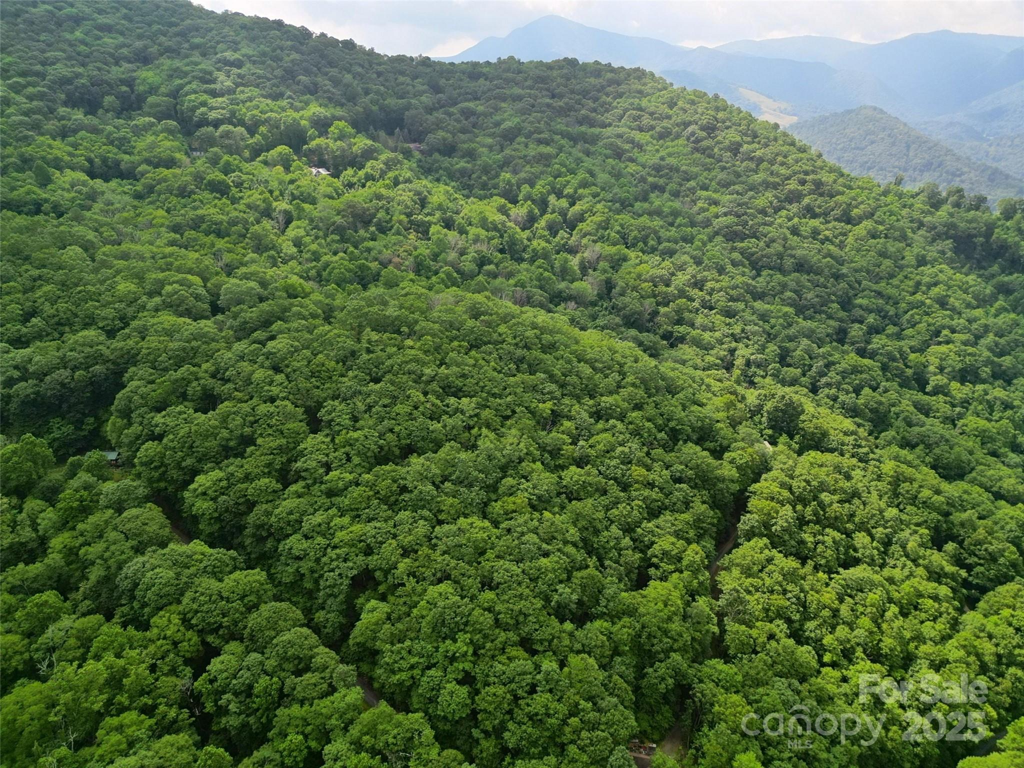 00 Promiseland Road Canton NC 28716