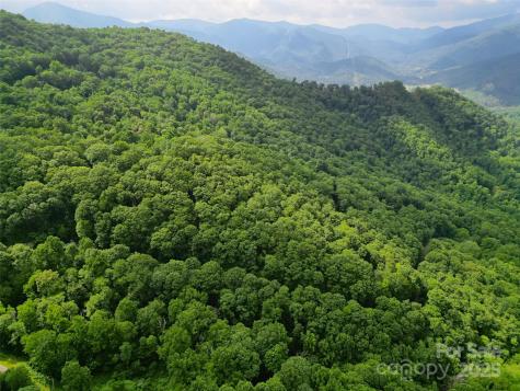 00 Promiseland Road Canton NC 28716
