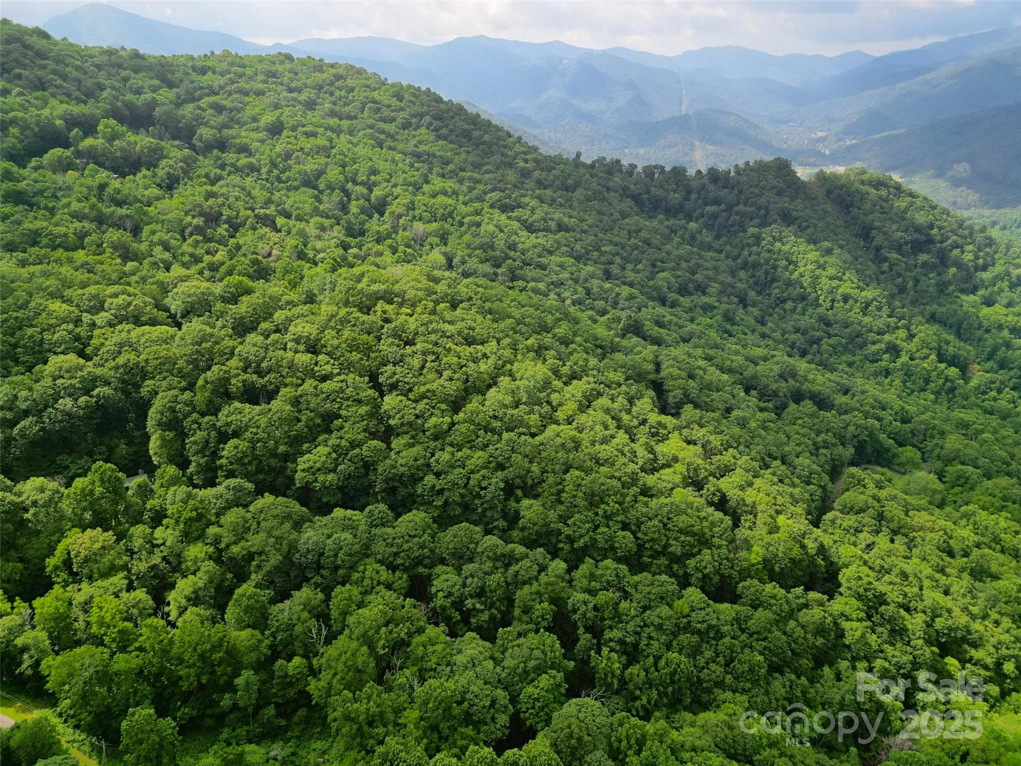 00 Promiseland Road Canton NC 28716