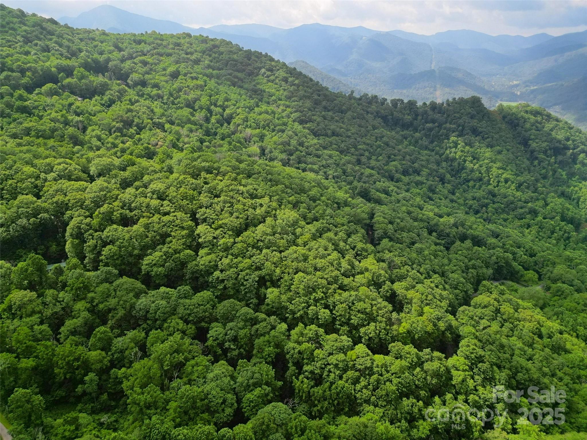 00 Promiseland Road Canton NC 28716