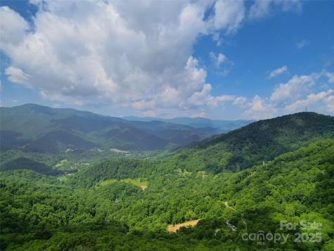 00 Promiseland Road Canton NC 28716