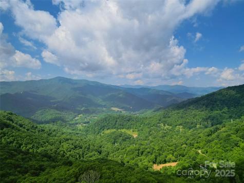 00 Promiseland Road Canton NC 28716