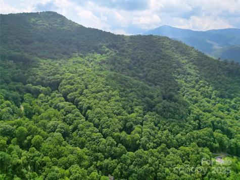 00 Promiseland Road Canton NC 28716
