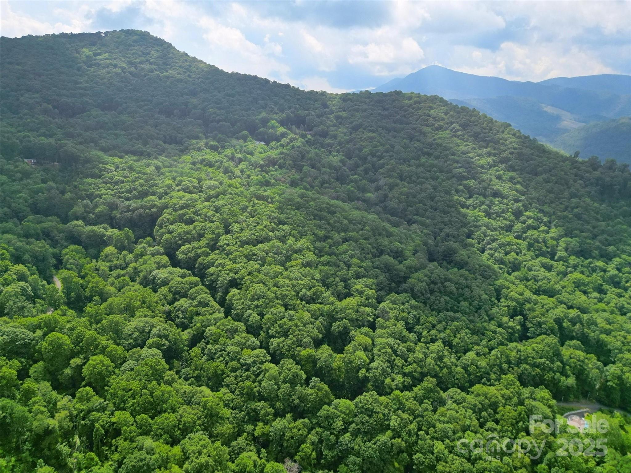 00 Promiseland Road Canton NC 28716