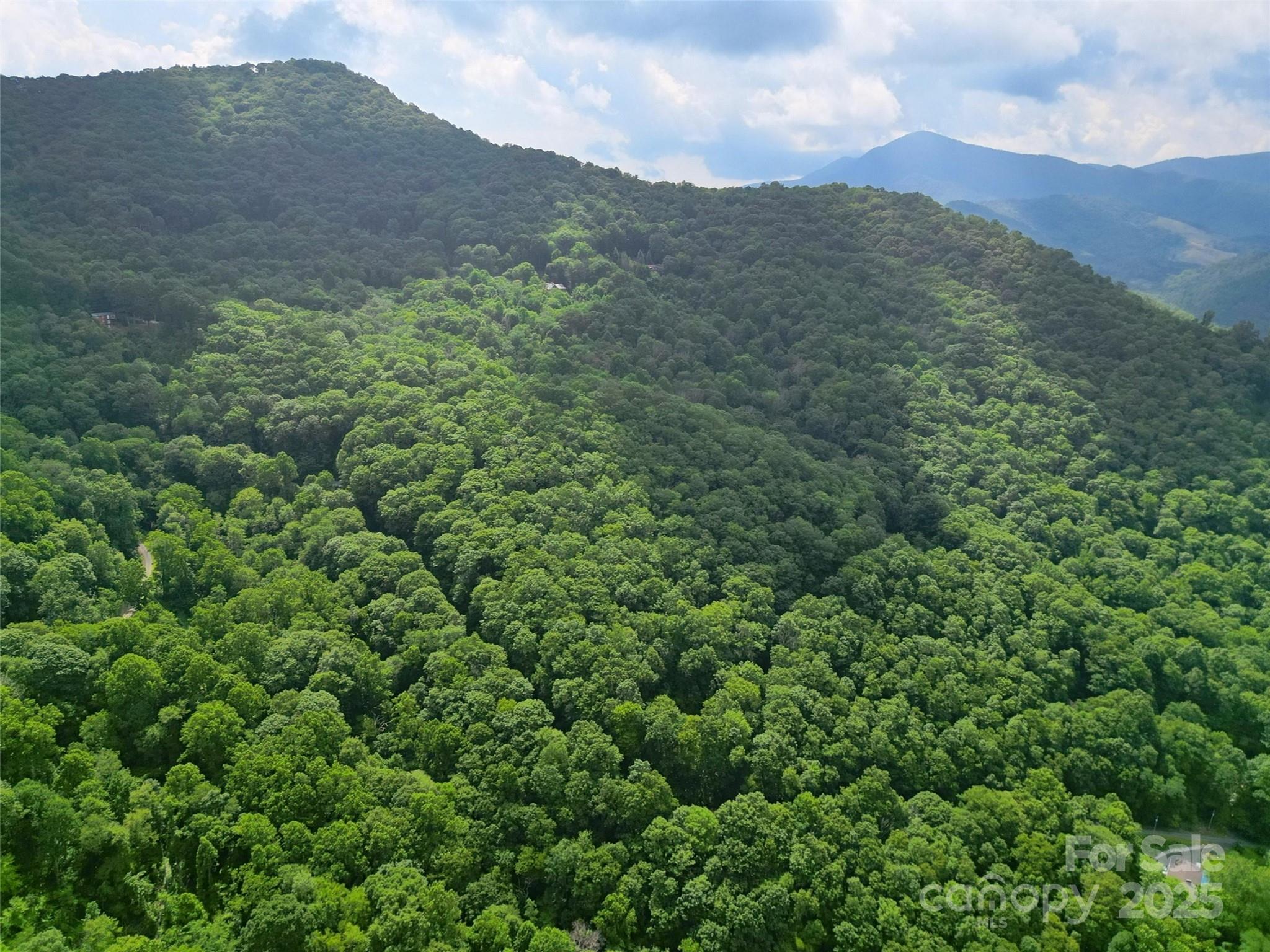00 Promiseland Road Canton NC 28716