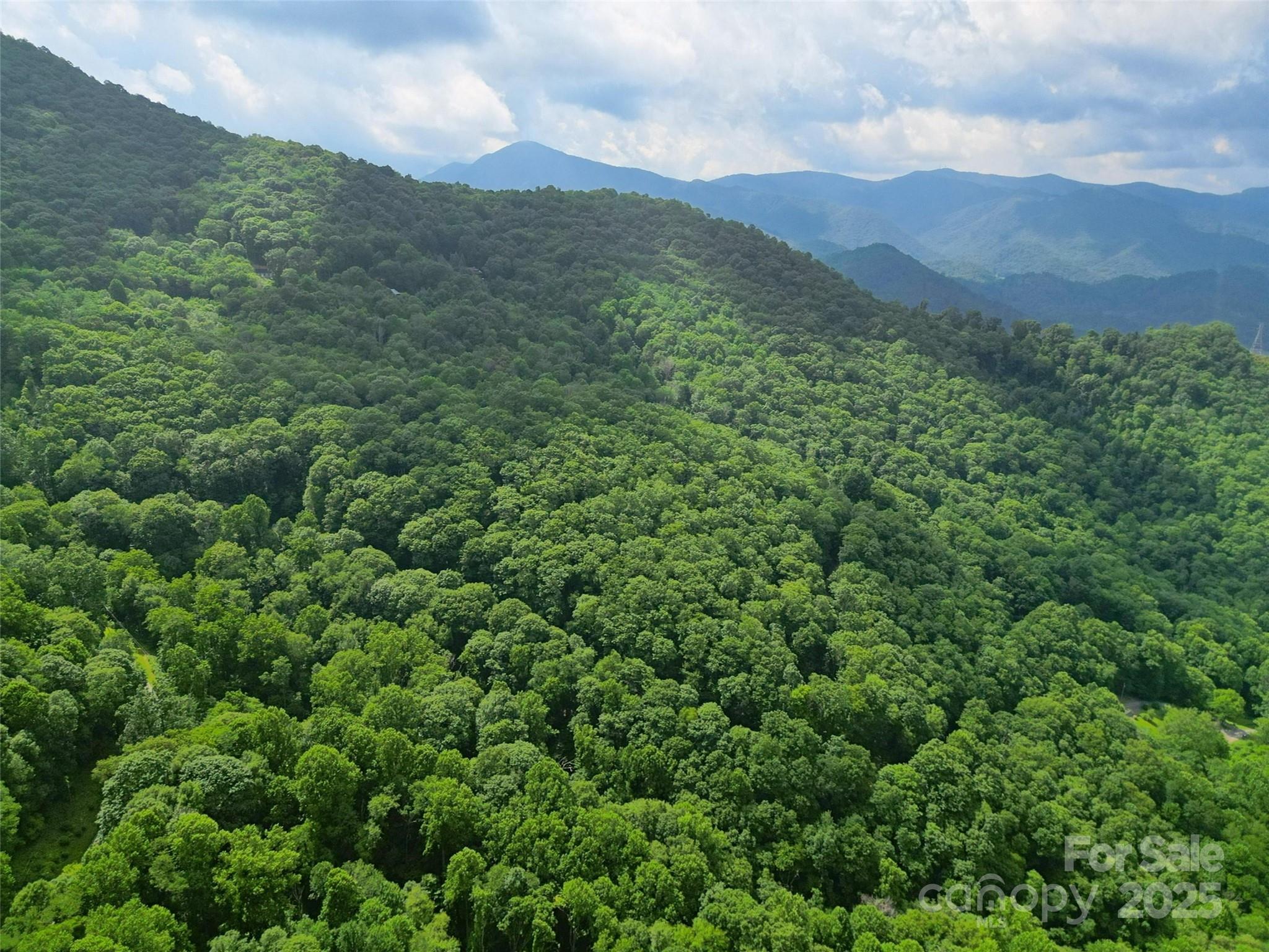 00 Promiseland Road Canton NC 28716