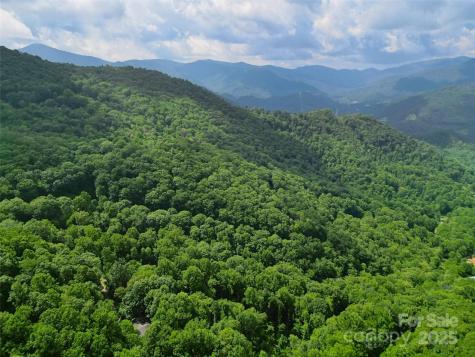 00 Promiseland Road Canton NC 28716