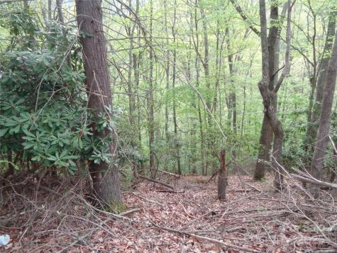 00 Promiseland Road Canton NC 28716