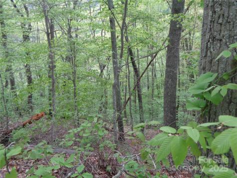 00 Promiseland Road Canton NC 28716