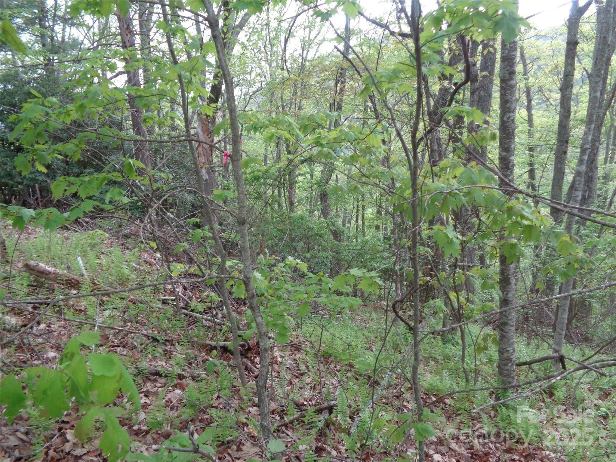 00 Promiseland Road Canton NC 28716