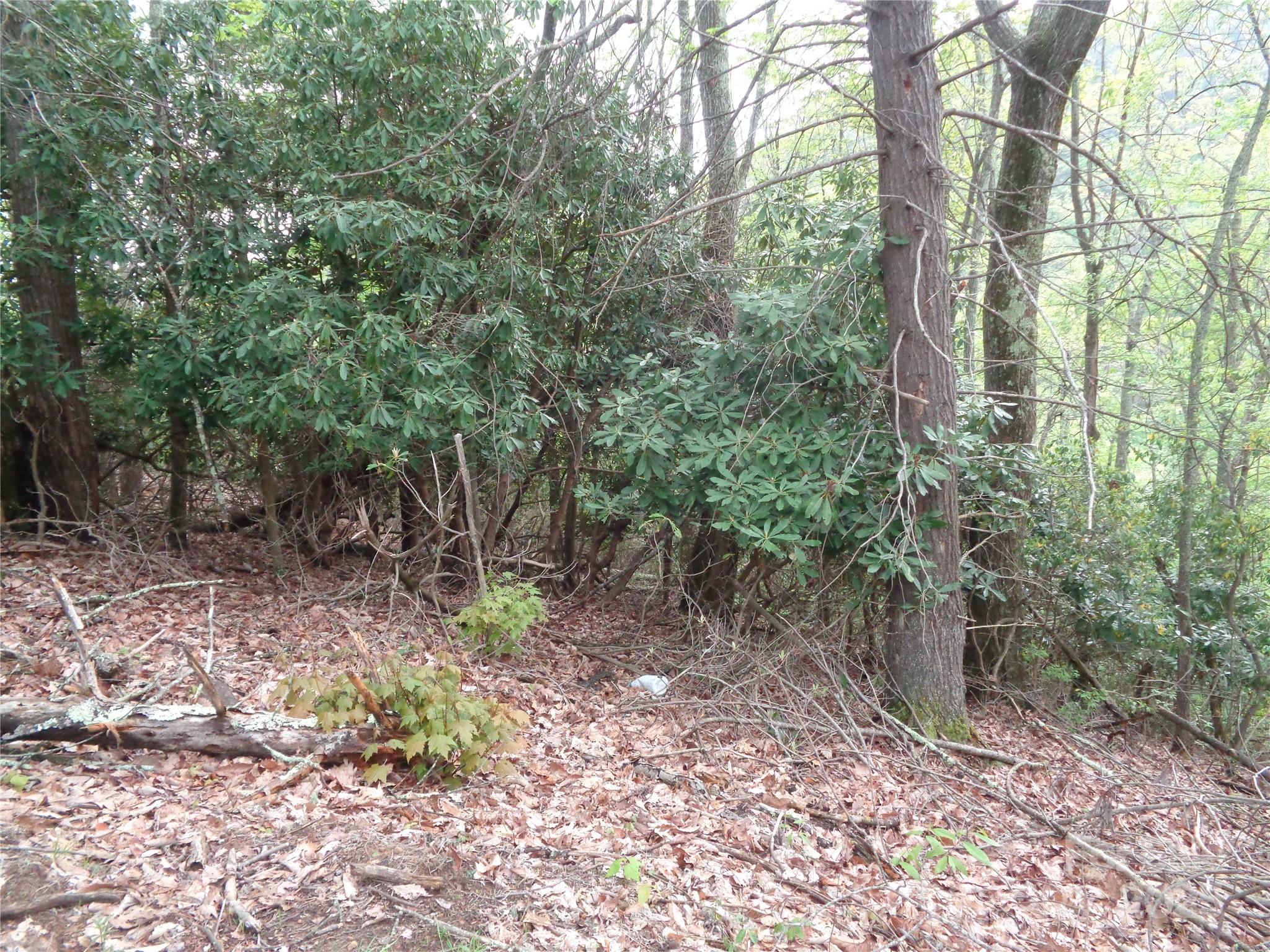 00 Promiseland Road Canton NC 28716