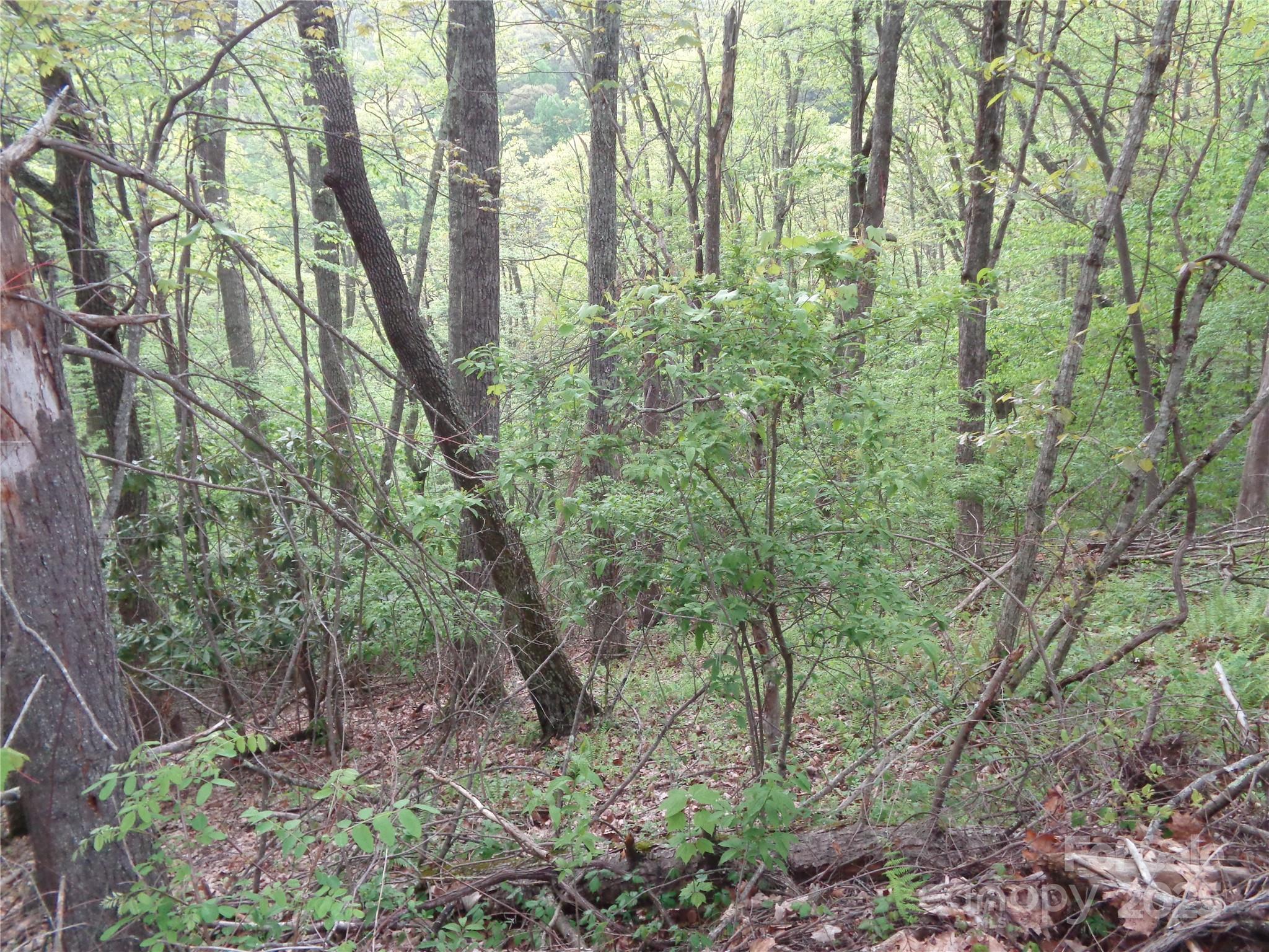 00 Promiseland Road Canton NC 28716